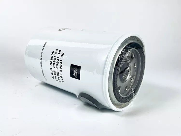 FS8006009 65.12503.5011 2