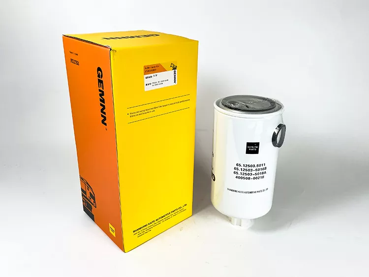 FS8006009 65.12503.5011 3