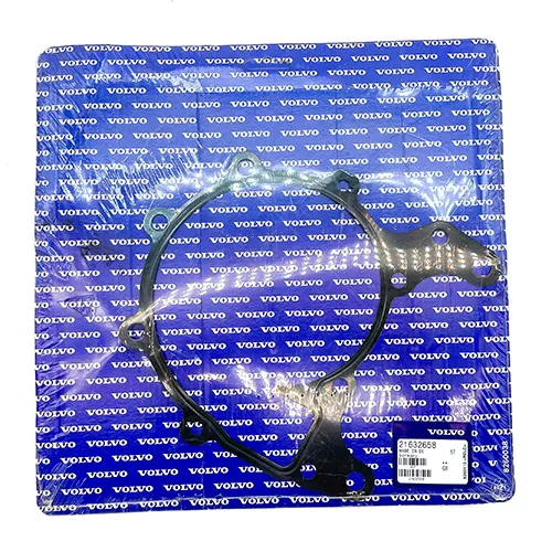 Volvo 21632658 20793735 Water Pump Gasket For Ta734ge A12