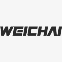 WEICHAI Parts
